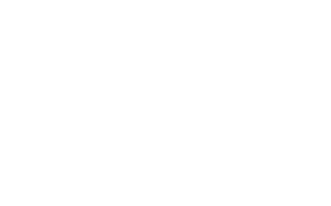 Sandhu Security White text logo no background